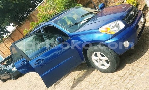 اشتري مستعمل Toyota RAV4 Bleu سيارة في Kigali في Rwanda اشتري مستعمل Toyota RAV4 Bleu سيارة في Kigali في Rwanda