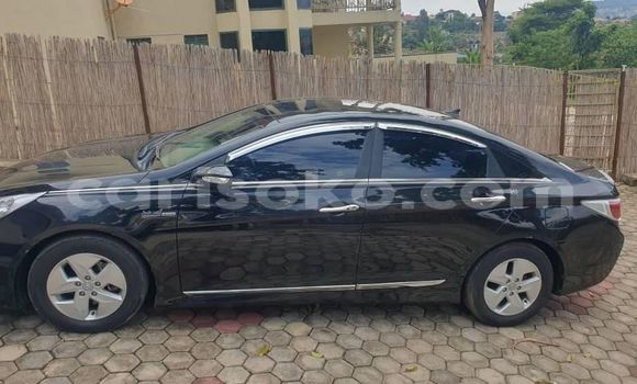 Buy Used Hyundai Sonata Black Car in Kigali in Rwanda Buy Used Hyundai Sonata Black Car in Kigali in Rwanda