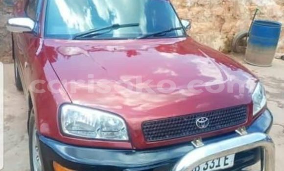 Buy Used Toyota RAV4 Red Car in Kigali in Rwanda Buy Used Toyota RAV4 Red Car in Kigali in Rwanda