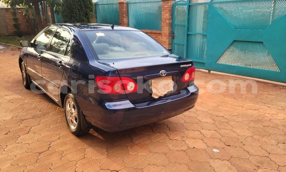 Sayi Na hannu Toyota Corolla Bleu Mota in Kigali a Rwanda Sayi Na hannu Toyota Corolla Bleu Mota in Kigali a Rwanda