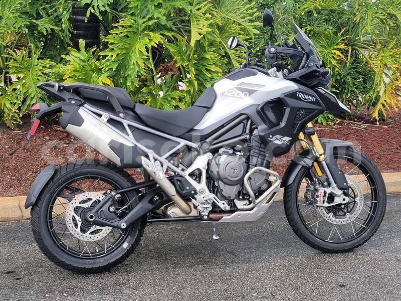 Big with watermark triumph tiger rwanda gicumbi 16380
