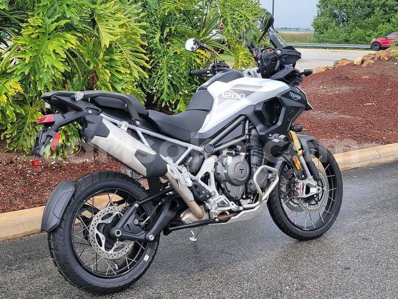Big with watermark triumph tiger rwanda gicumbi 16380