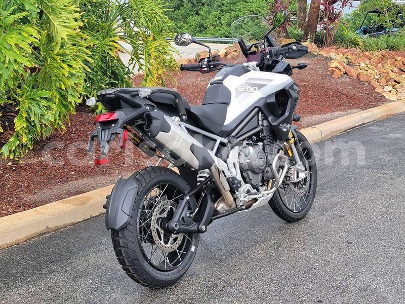 Big with watermark triumph tiger rwanda gicumbi 16380