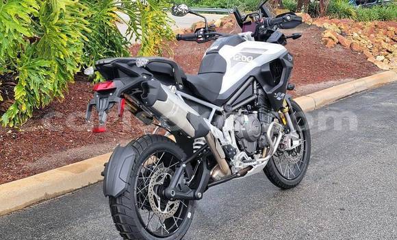 Acheter Occasion Moto Triumph Tiger Noir à Gicumbi, Rwanda Acheter Occasion Moto Triumph Tiger Noir à Gicumbi, Rwanda