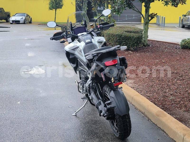 Big with watermark triumph tiger rwanda gicumbi 16380