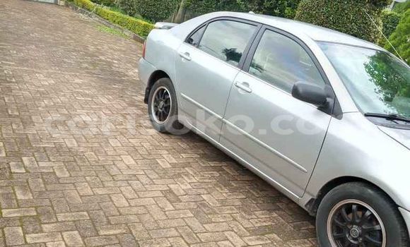 Acheter Occasion Voiture Toyota Corolla Gris à Kigali, Rwanda Acheter Occasion Voiture Toyota Corolla Gris à Kigali, Rwanda