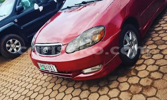 Acheter Occasion Voiture Toyota Corolla Rouge à Kigali, Rwanda Acheter Occasion Voiture Toyota Corolla Rouge à Kigali, Rwanda