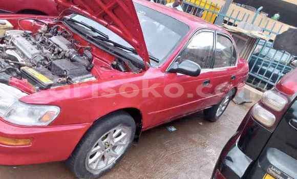 Acheter Occasion Voiture Toyota Corolla Rouge à Kigali, Rwanda Acheter Occasion Voiture Toyota Corolla Rouge à Kigali, Rwanda