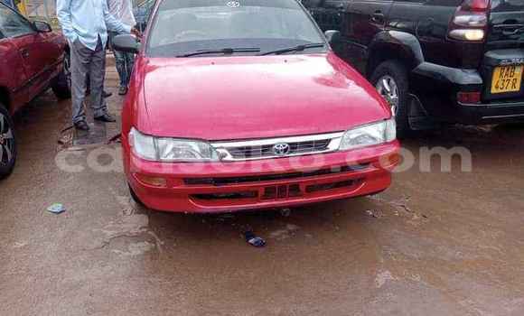 Acheter Occasion Voiture Toyota Corolla Rouge à Kigali, Rwanda Acheter Occasion Voiture Toyota Corolla Rouge à Kigali, Rwanda