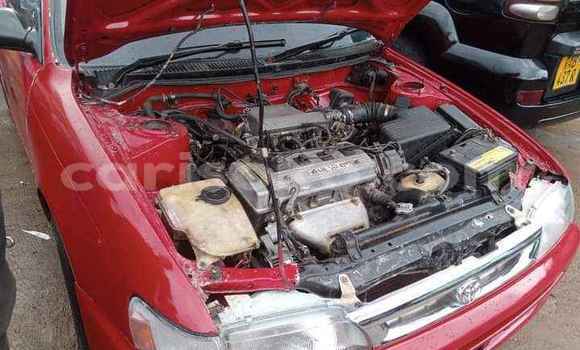Acheter Occasion Voiture Toyota Corolla Rouge à Kigali, Rwanda Acheter Occasion Voiture Toyota Corolla Rouge à Kigali, Rwanda