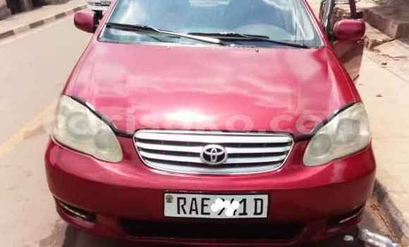 Acheter Occasion Voiture Toyota Corolla Rouge à Kigali, Rwanda Acheter Occasion Voiture Toyota Corolla Rouge à Kigali, Rwanda