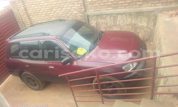 Buy Used Toyota RAV4 Red Car in Kigali in Rwanda Buy Used Toyota RAV4 Red Car in Kigali in Rwanda
