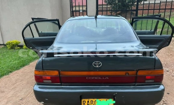 Buy Used Toyota Corolla Blue Car in Kigali in Rwanda Buy Used Toyota Corolla Blue Car in Kigali in Rwanda