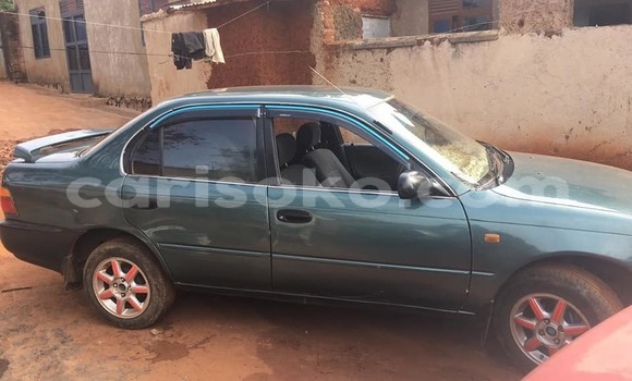 Buy Used Toyota Corolla Green Car in Kigali in Rwanda Buy Used Toyota Corolla Green Car in Kigali in Rwanda