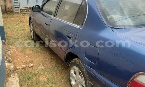 Buy Used Toyota Corolla Blue Car in Kigali in Rwanda Buy Used Toyota Corolla Blue Car in Kigali in Rwanda