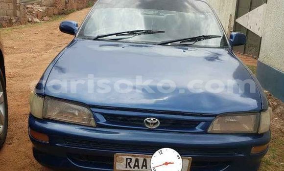 Buy Used Toyota Corolla Blue Car in Kigali in Rwanda Buy Used Toyota Corolla Blue Car in Kigali in Rwanda