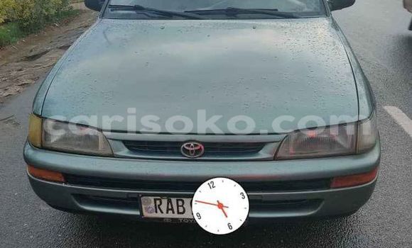 Buy Used Toyota Corolla Green Car in Kigali in Rwanda Buy Used Toyota Corolla Green Car in Kigali in Rwanda