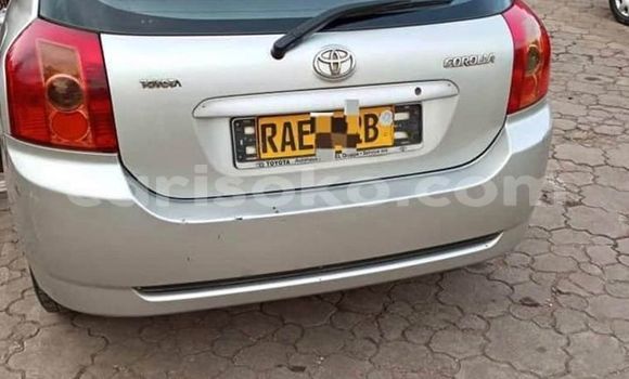 Acheter Occasion Voiture Toyota Corolla Gris à Kigali, Rwanda Acheter Occasion Voiture Toyota Corolla Gris à Kigali, Rwanda