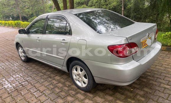 Acheter Occasion Voiture Toyota Corolla Gris à Kigali, Rwanda Acheter Occasion Voiture Toyota Corolla Gris à Kigali, Rwanda
