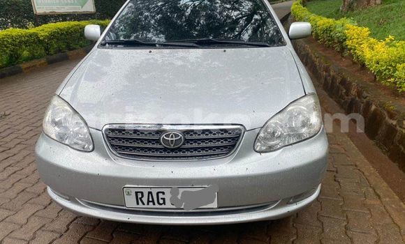 Acheter Occasion Voiture Toyota Corolla Gris à Kigali, Rwanda Acheter Occasion Voiture Toyota Corolla Gris à Kigali, Rwanda