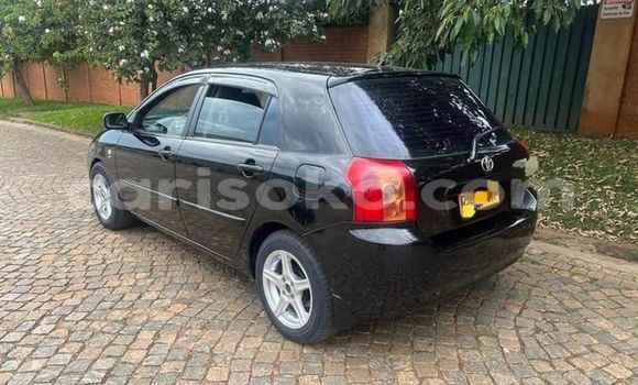 Acheter Occasion Voiture Toyota Corolla Noir à Kigali, Rwanda Acheter Occasion Voiture Toyota Corolla Noir à Kigali, Rwanda