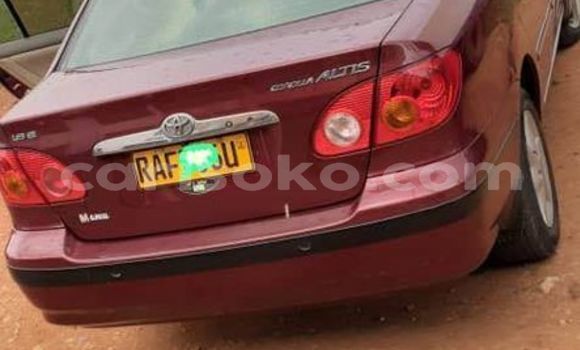 Acheter Occasion Voiture Toyota Corolla Altis Rouge à Kigali, Rwanda Acheter Occasion Voiture Toyota Corolla Altis Rouge à Kigali, Rwanda
