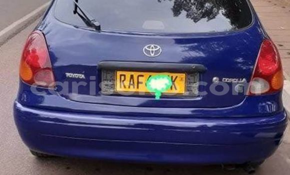Acheter Occasion Voiture Toyota Corolla Bleu à Kigali, Rwanda Acheter Occasion Voiture Toyota Corolla Bleu à Kigali, Rwanda