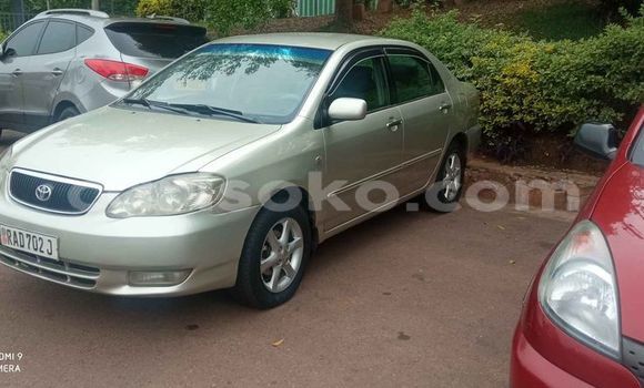 Acheter Occasion Voiture Toyota Corolla Gris à Kigali, Rwanda Acheter Occasion Voiture Toyota Corolla Gris à Kigali, Rwanda