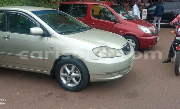 Acheter Occasion Voiture Toyota Corolla Gris à Kigali, Rwanda Acheter Occasion Voiture Toyota Corolla Gris à Kigali, Rwanda