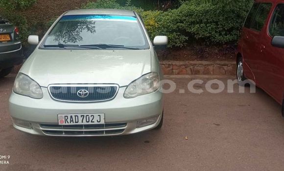 Acheter Occasion Voiture Toyota Corolla Gris à Kigali, Rwanda Acheter Occasion Voiture Toyota Corolla Gris à Kigali, Rwanda