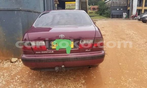 Buy Used Toyota Carina E Red Car in Kigali in Rwanda Buy Used Toyota Carina E Red Car in Kigali in Rwanda