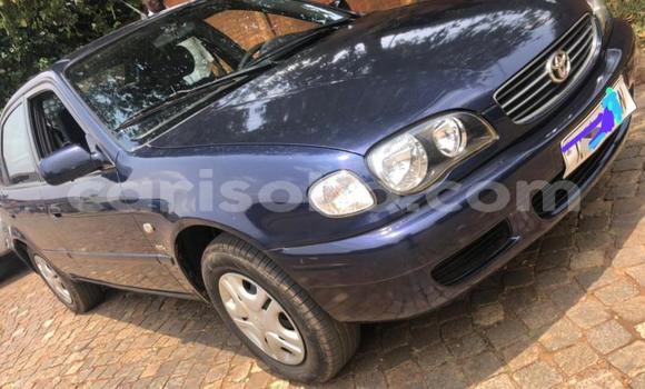 Acheter Occasion Voiture Toyota Corolla Bleu à Kigali, Rwanda Acheter Occasion Voiture Toyota Corolla Bleu à Kigali, Rwanda