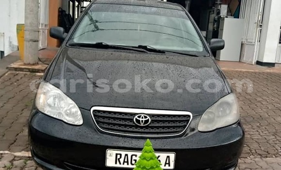 Acheter Occasion Voiture Toyota Corolla Noir à Kigali, Rwanda Acheter Occasion Voiture Toyota Corolla Noir à Kigali, Rwanda