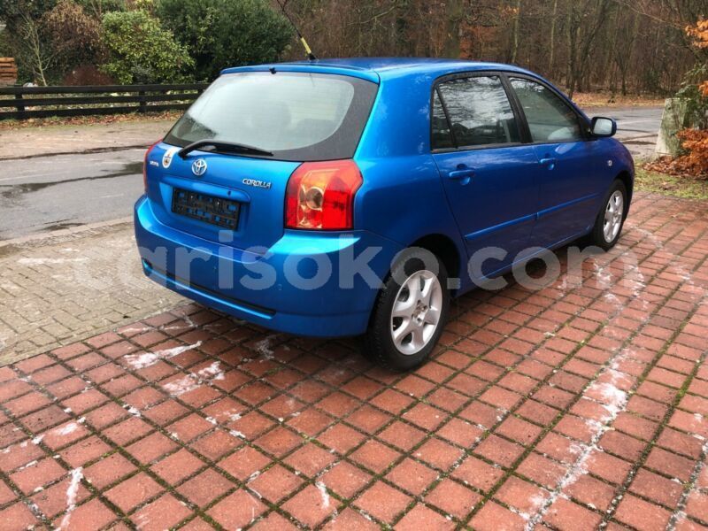 Big with watermark g7