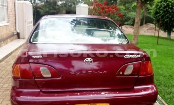 Sayi Na hannu Toyota Corolla Rouge Mota in Kigali a Rwanda Sayi Na hannu Toyota Corolla Rouge Mota in Kigali a Rwanda