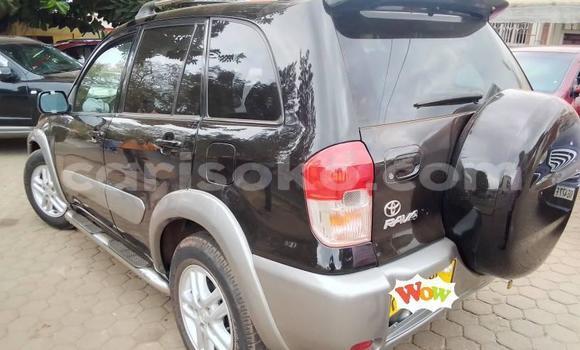 Buy Used Toyota RAV4 Black Car in Kigali in Rwanda Buy Used Toyota RAV4 Black Car in Kigali in Rwanda