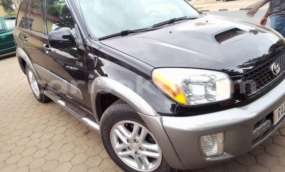 Buy Used Toyota RAV4 Black Car in Kigali in Rwanda Buy Used Toyota RAV4 Black Car in Kigali in Rwanda
