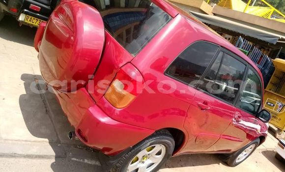 Buy Used Toyota RAV4 Red Car in Kigali in Rwanda Buy Used Toyota RAV4 Red Car in Kigali in Rwanda