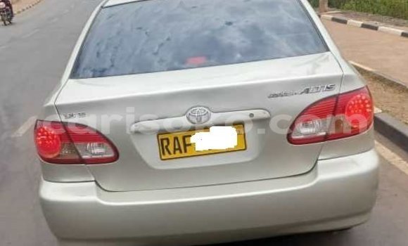 Buy Used Toyota Corolla Altis Beige Car in Kigali in Rwanda Buy Used Toyota Corolla Altis Beige Car in Kigali in Rwanda