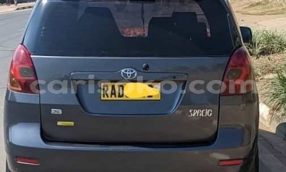 Buy Used Toyota Spacio Silver Car in Kigali in Rwanda Buy Used Toyota Spacio Silver Car in Kigali in Rwanda