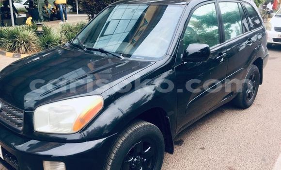 Buy Used Toyota RAV4 Black Car in Kigali in Rwanda Buy Used Toyota RAV4 Black Car in Kigali in Rwanda