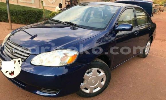 Sayi Na hannu Toyota Corolla Bleu Mota in Kigali a Rwanda Sayi Na hannu Toyota Corolla Bleu Mota in Kigali a Rwanda