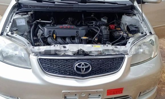 Buy Used Toyota Vios Beige Car in Kigali in Rwanda Buy Used Toyota Vios Beige Car in Kigali in Rwanda