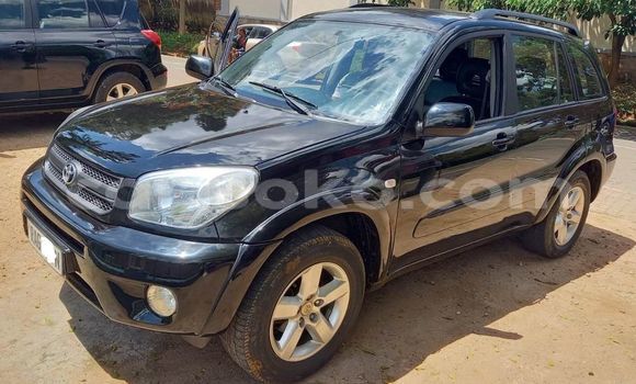 Buy Used Toyota RAV4 Black Car in Kigali in Rwanda Buy Used Toyota RAV4 Black Car in Kigali in Rwanda