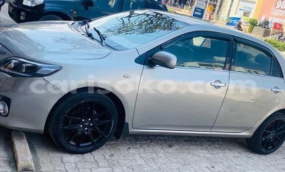 Buy Used Toyota Corolla Beige Car in Kigali in Rwanda Buy Used Toyota Corolla Beige Car in Kigali in Rwanda