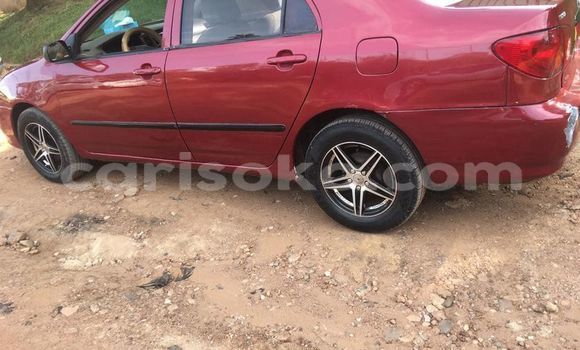 Acheter Occasion Voiture Toyota Corolla Rouge à Kigali, Rwanda Acheter Occasion Voiture Toyota Corolla Rouge à Kigali, Rwanda