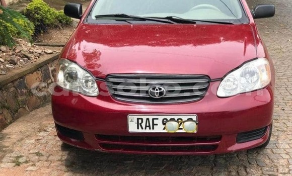 Acheter Occasion Voiture Toyota Corolla Rouge à Kigali, Rwanda Acheter Occasion Voiture Toyota Corolla Rouge à Kigali, Rwanda