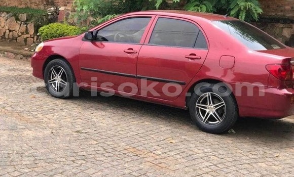 Acheter Occasion Voiture Toyota Corolla Rouge à Kigali, Rwanda Acheter Occasion Voiture Toyota Corolla Rouge à Kigali, Rwanda