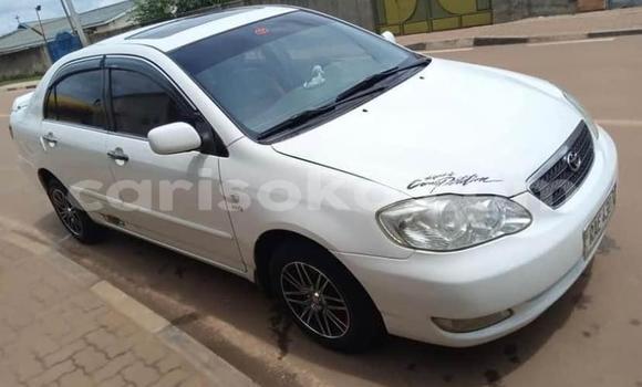 اشتري مستعمل Toyota Corolla Altis Blanc سيارة في Kigali في Rwanda اشتري مستعمل Toyota Corolla Altis Blanc سيارة في Kigali في Rwanda