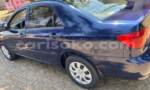 اشتري مستعمل Toyota Corolla Bleu سيارة في Kigali في Rwanda اشتري مستعمل Toyota Corolla Bleu سيارة في Kigali في Rwanda